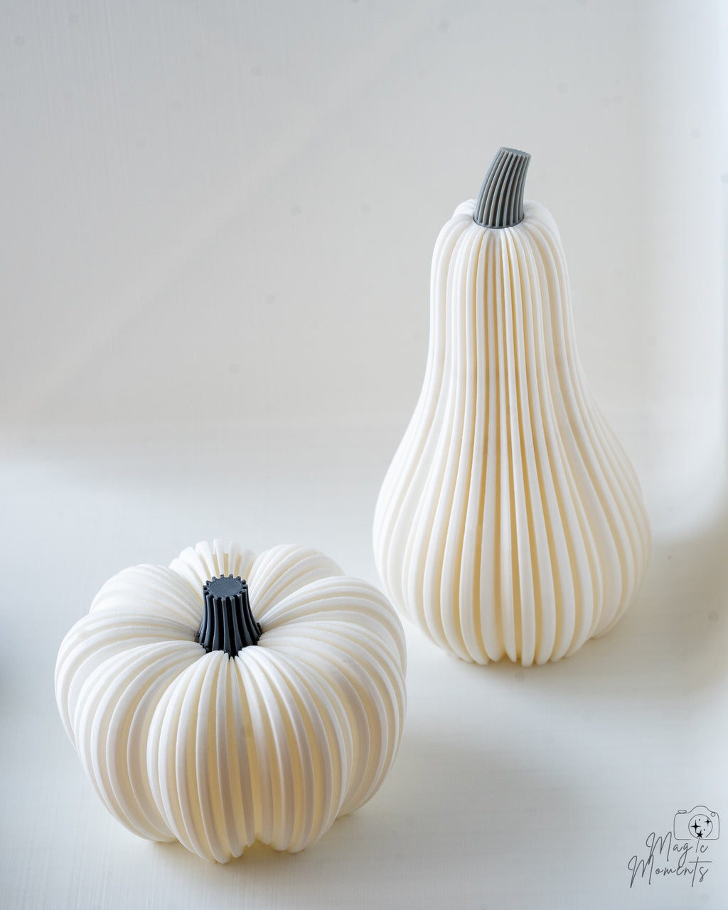 White pumpkin and squash autumn decor set