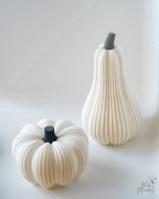 White pumpkin and squash autumn decor set