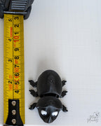 Beetle figure next to measuring tape for scale