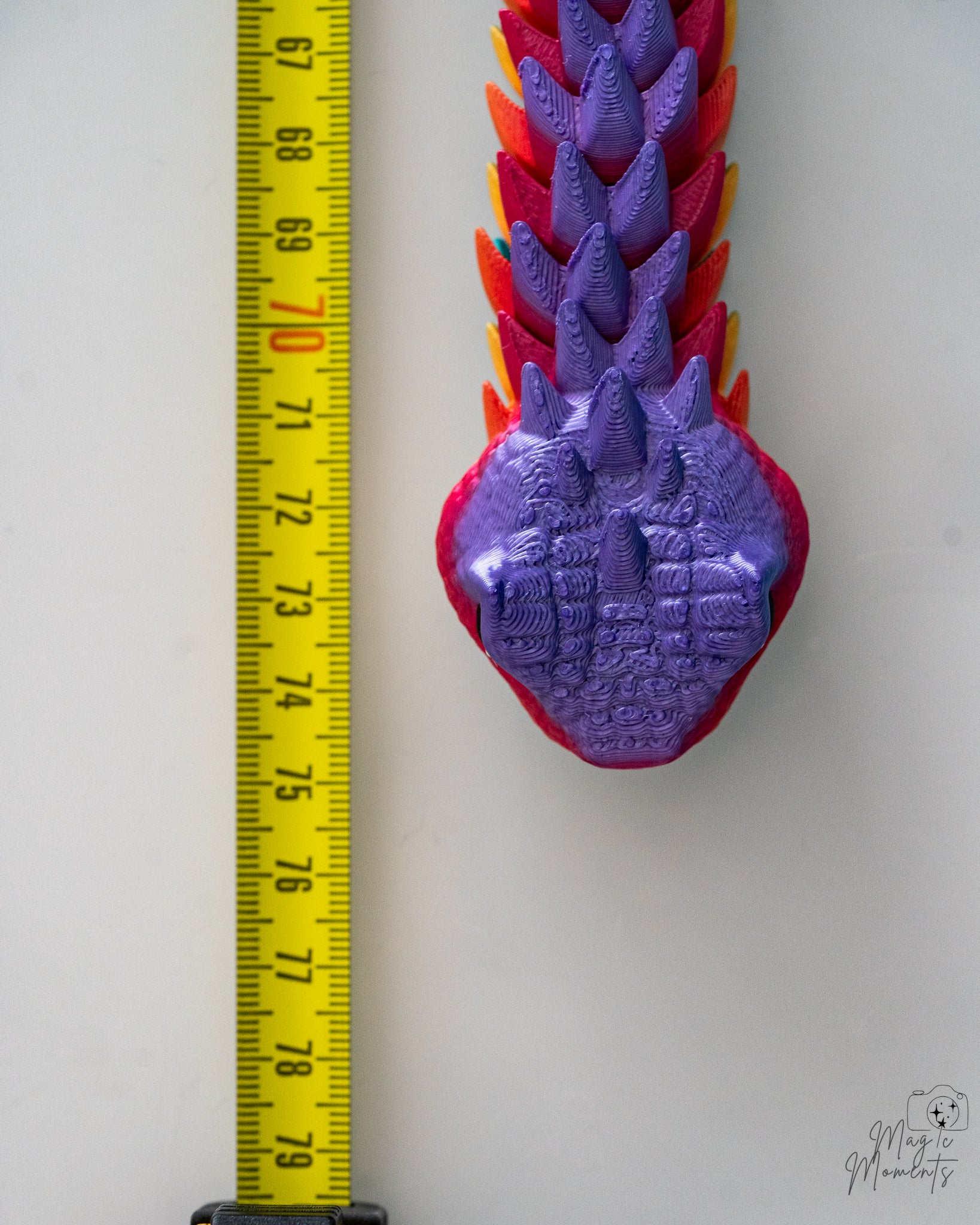 Purple dragon snake head viewed from above next to measuring tape
