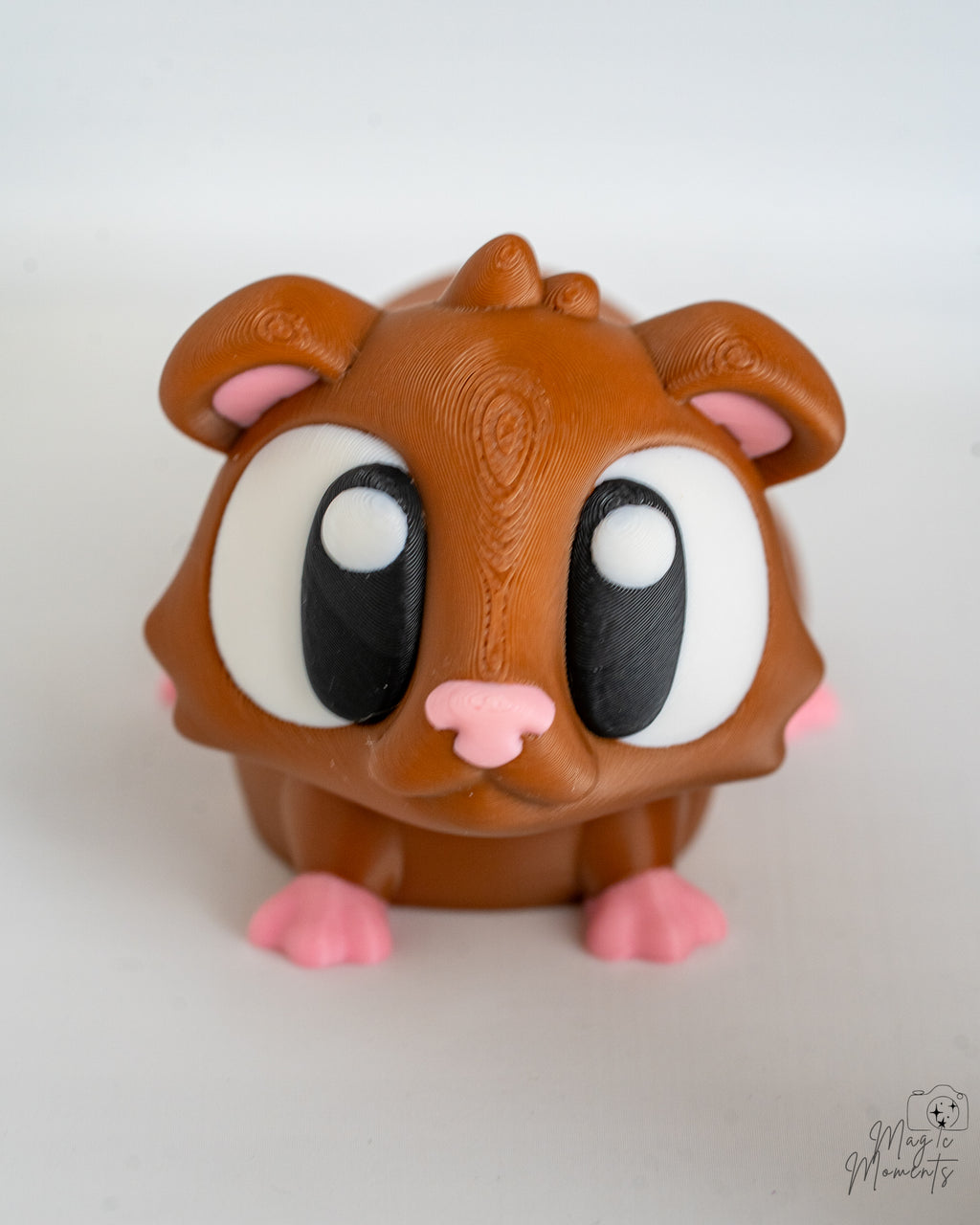 Cute guinea pig viewed from front