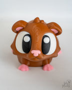 Cute guinea pig viewed from front