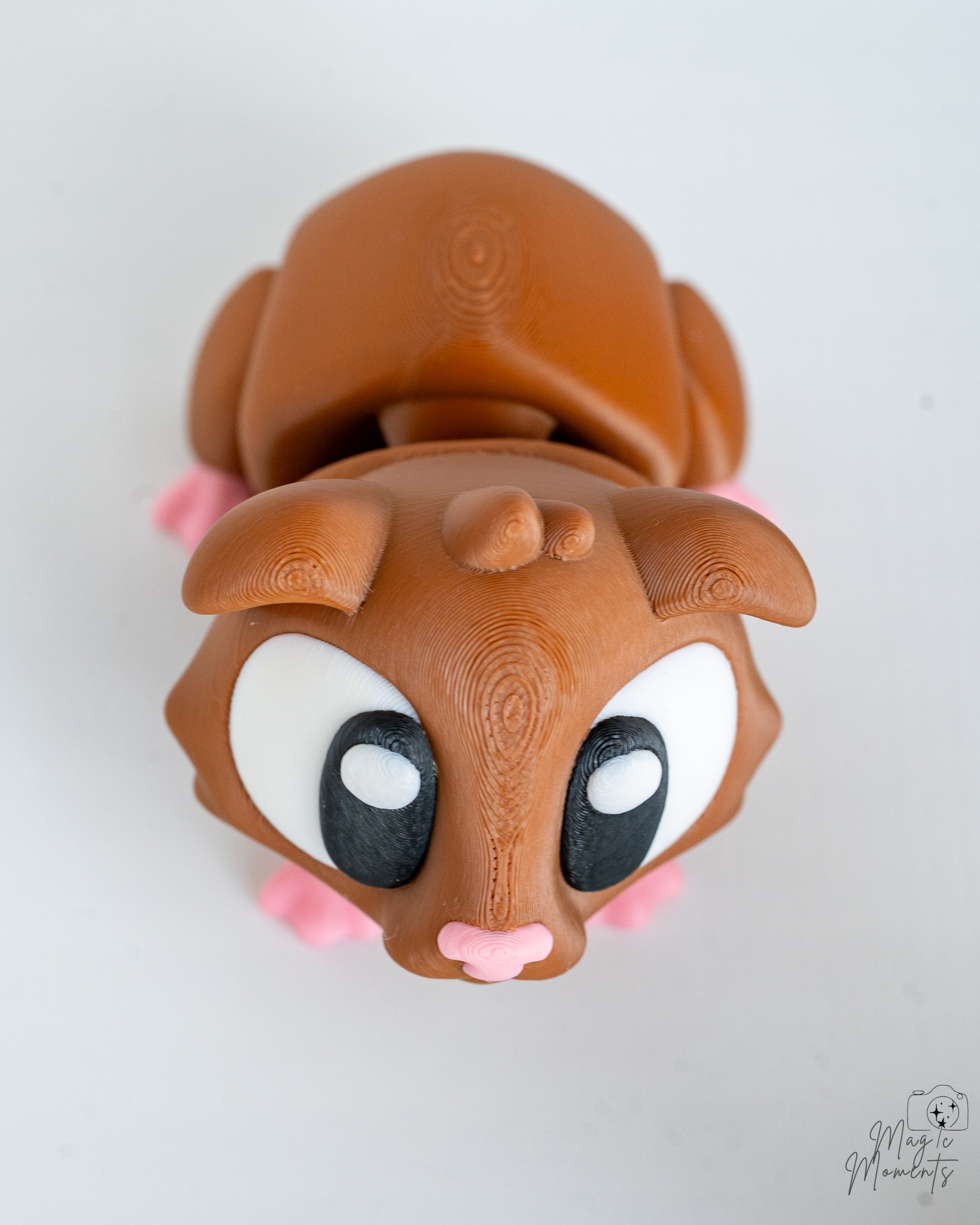 Guinea pig figure viewed from above