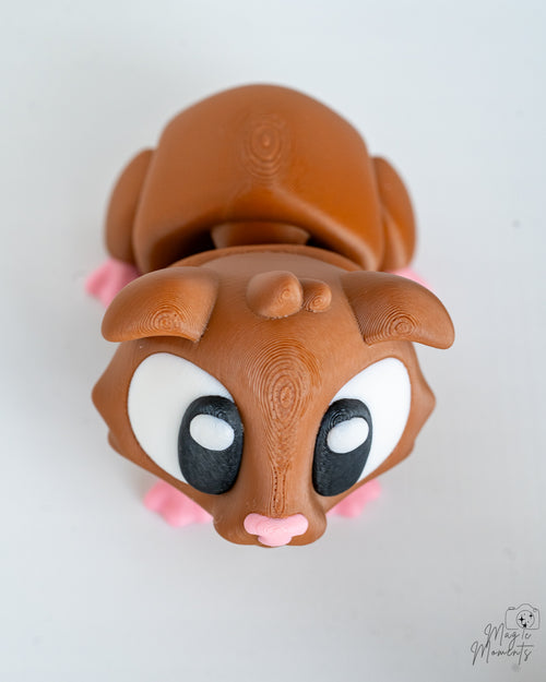Guinea pig figure viewed from above