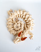 Articulated skeleton dragon curled pose decorative model