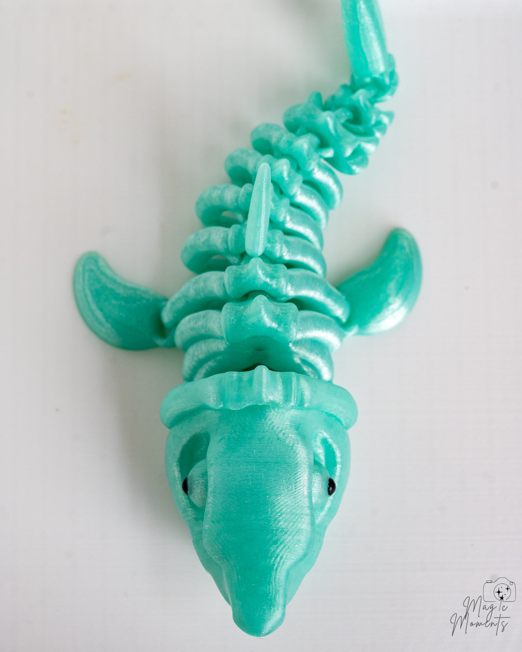 Top view of articulated shark skeleton with detailed bone texture