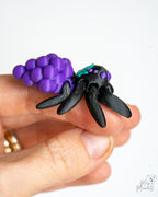 Grape spider held in hand