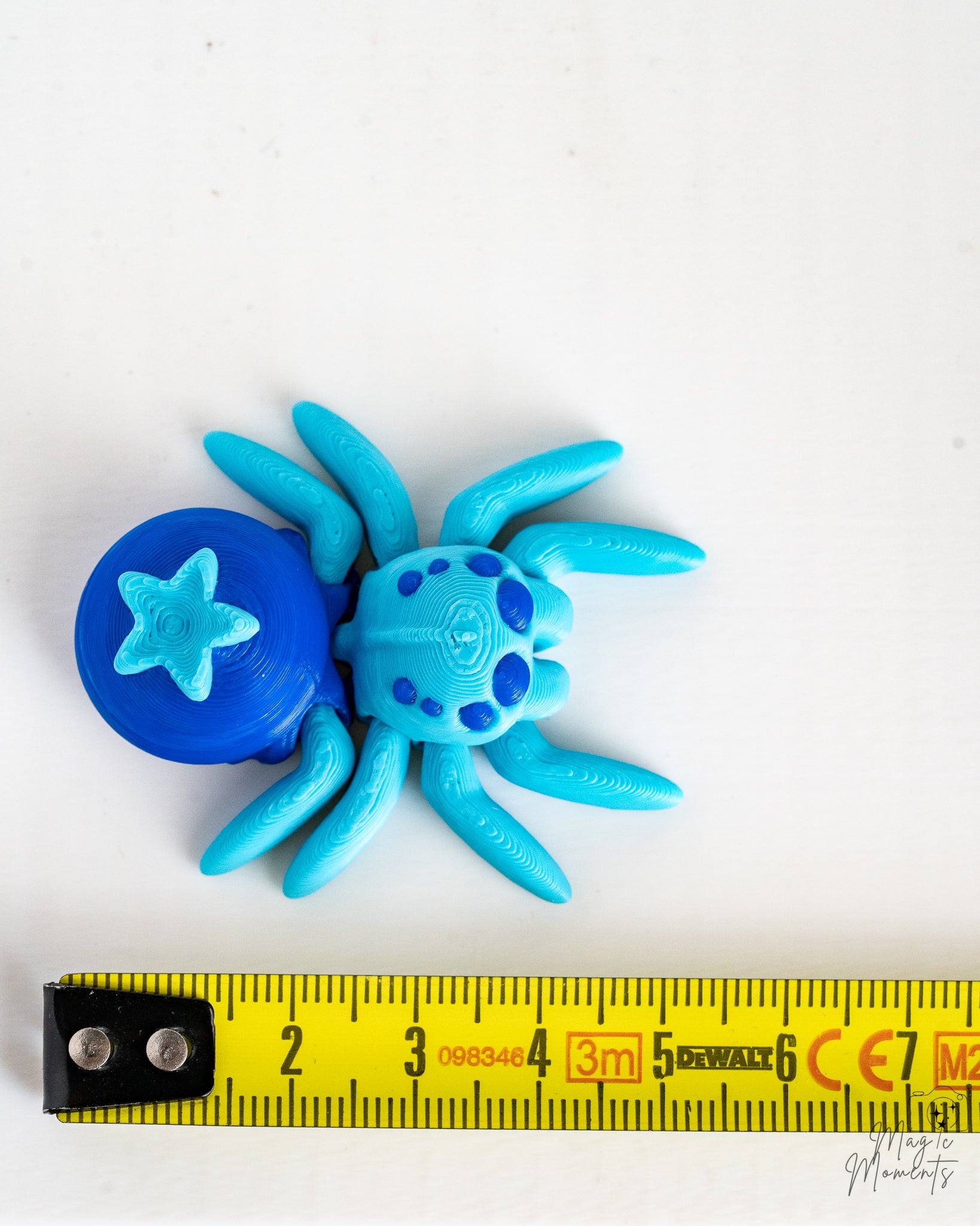 Blueberry spider next to measuring tape for scale