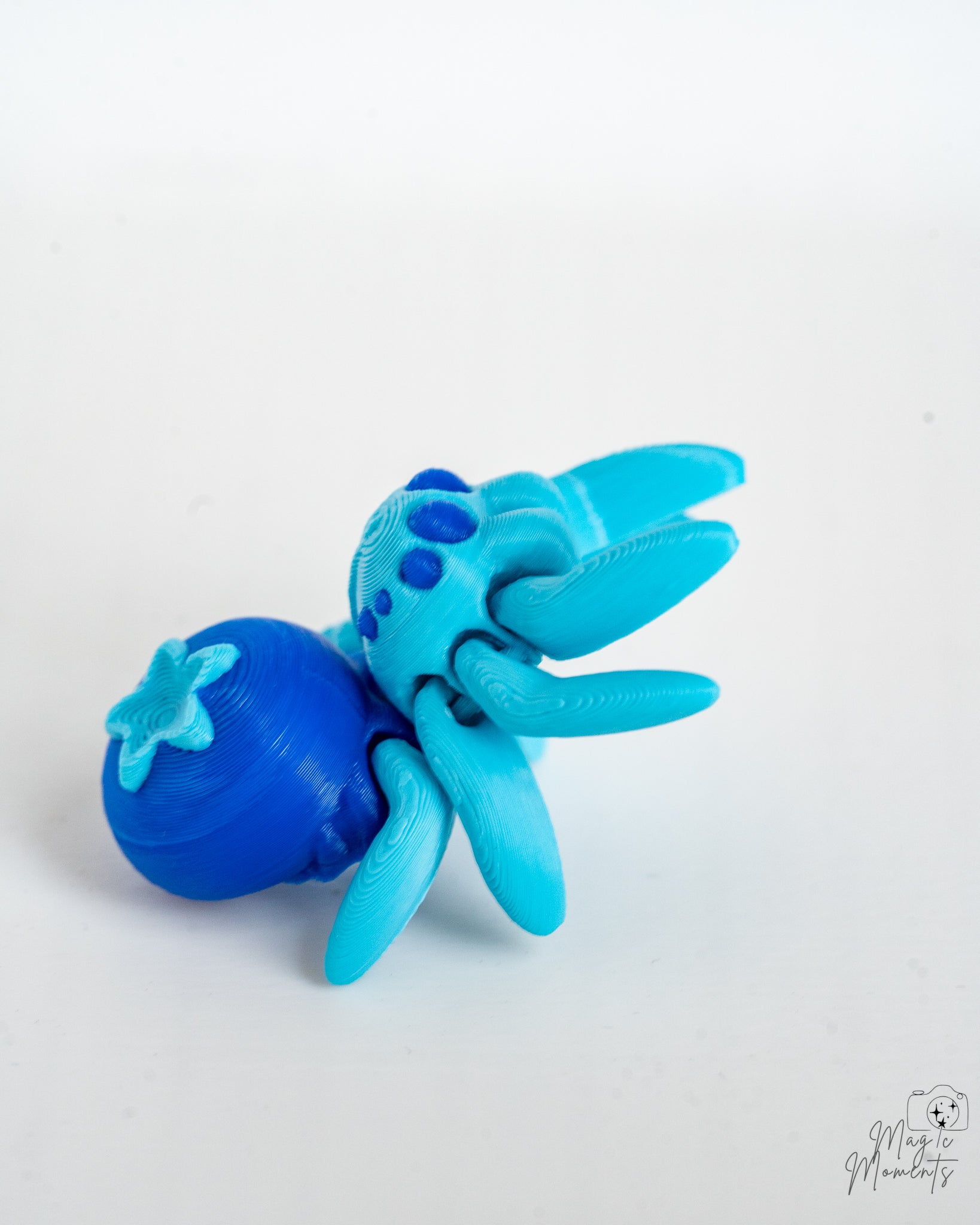 Blueberry spider viewed from side