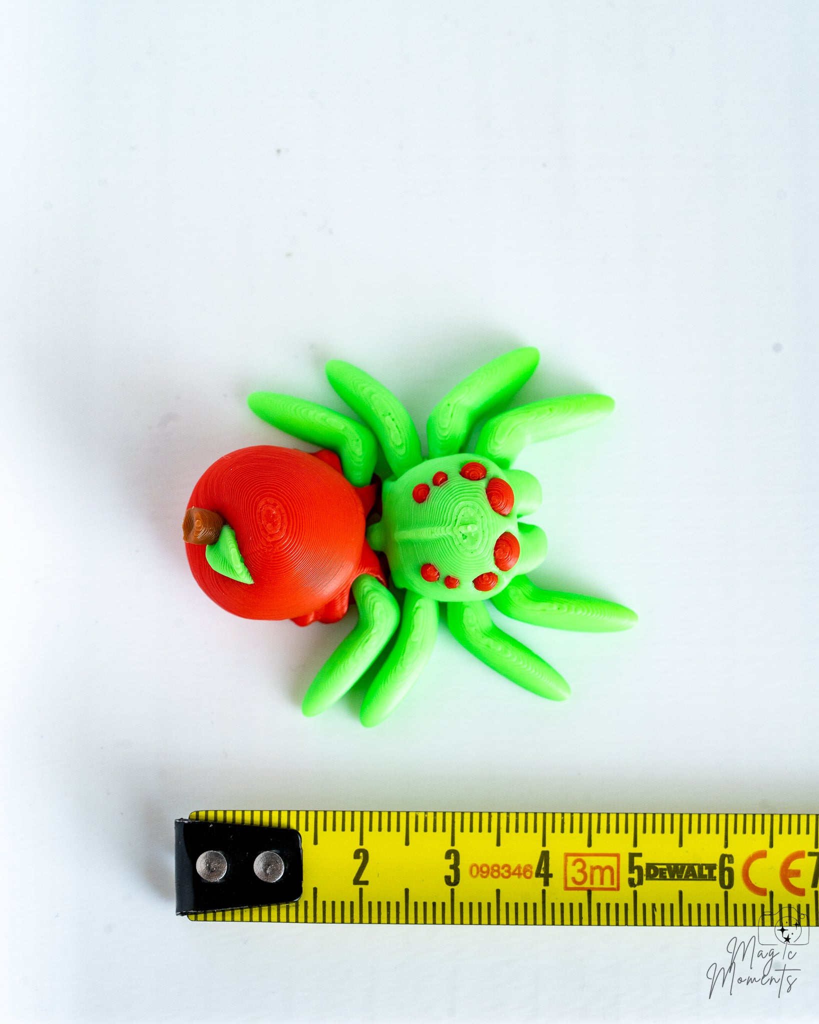 Apple spider next to measuring tape for scale
