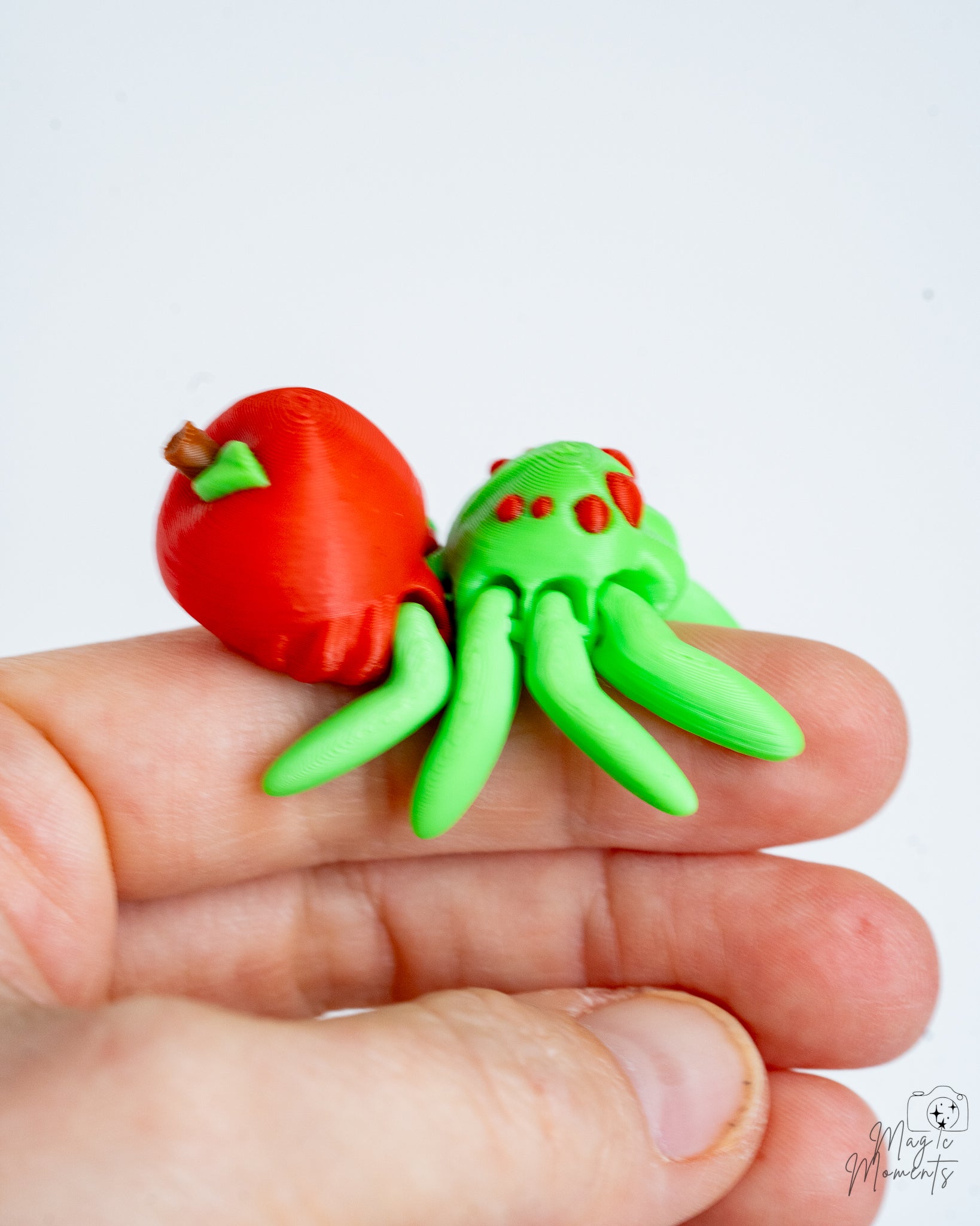 Apple spider held in hand