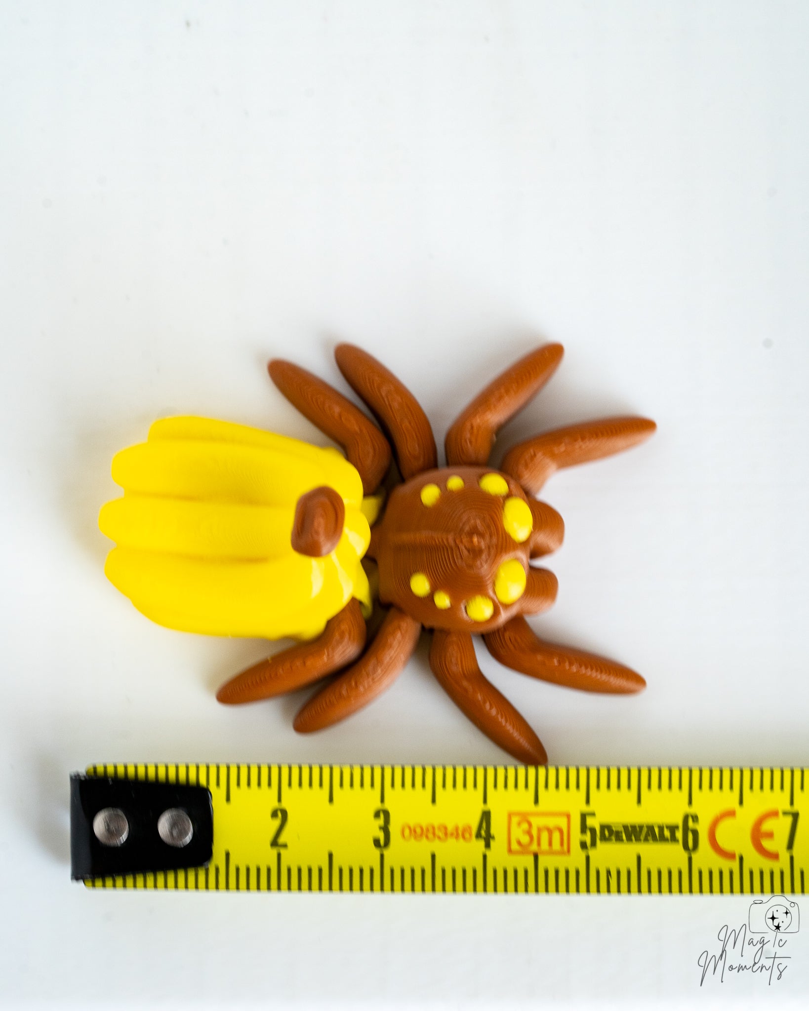 Banana spider next to measuring tape for scale