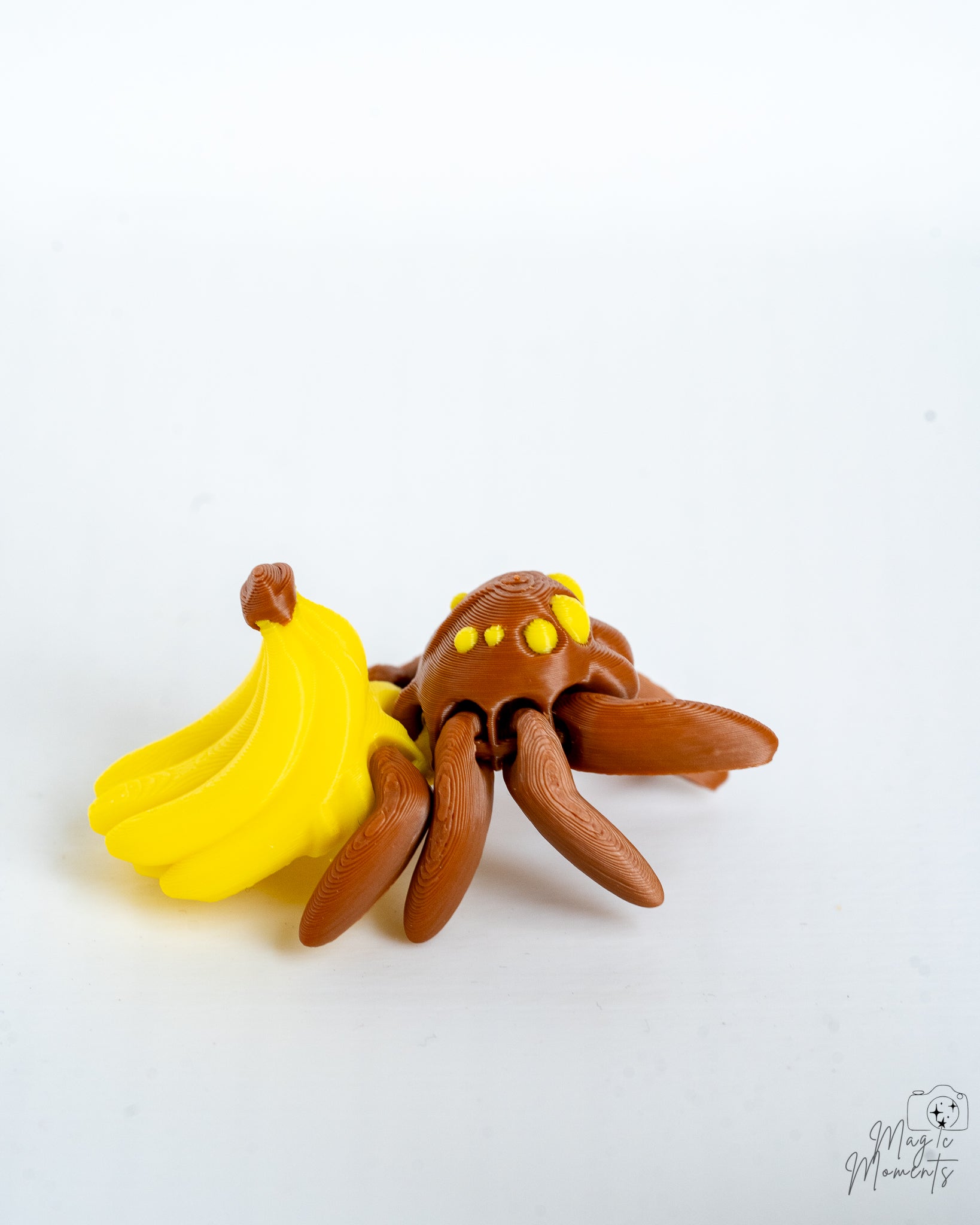 Banana spider viewed from side