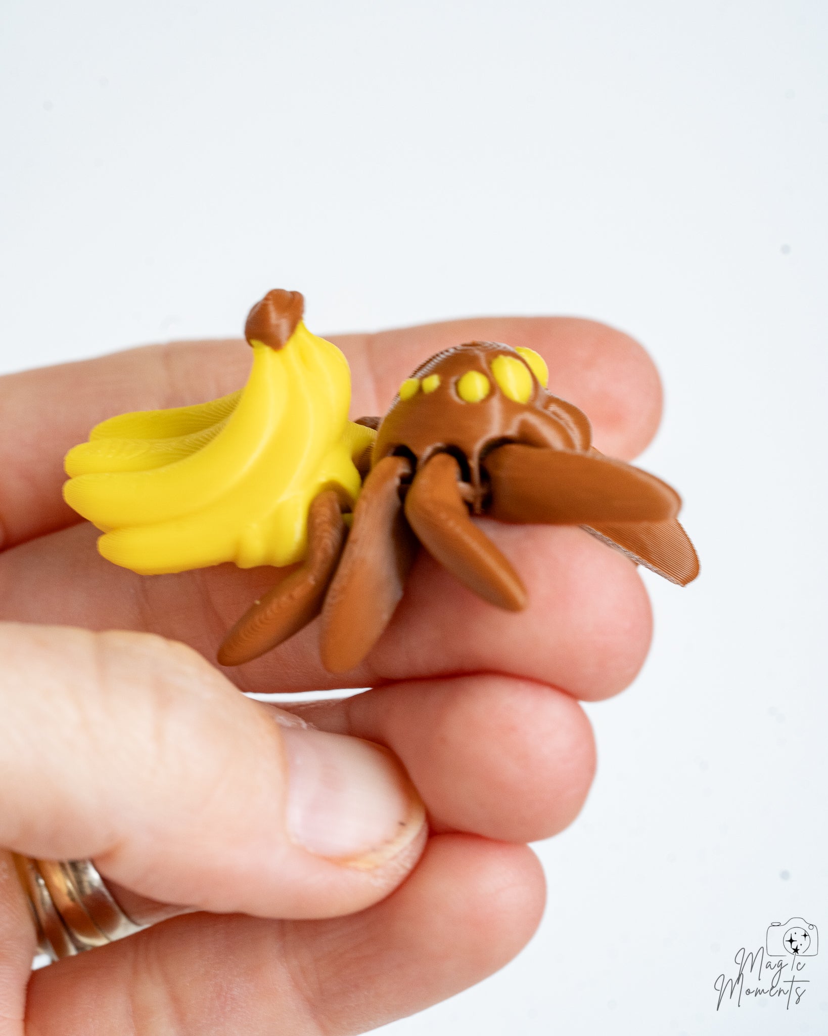 Banana spider held in hand