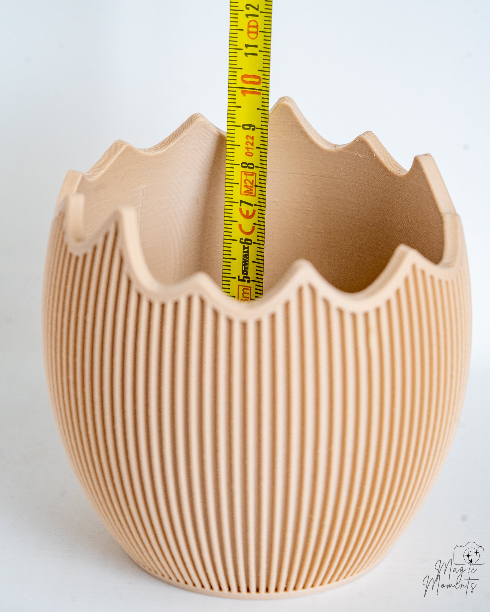 Ribbed egg container with measuring tape for scale