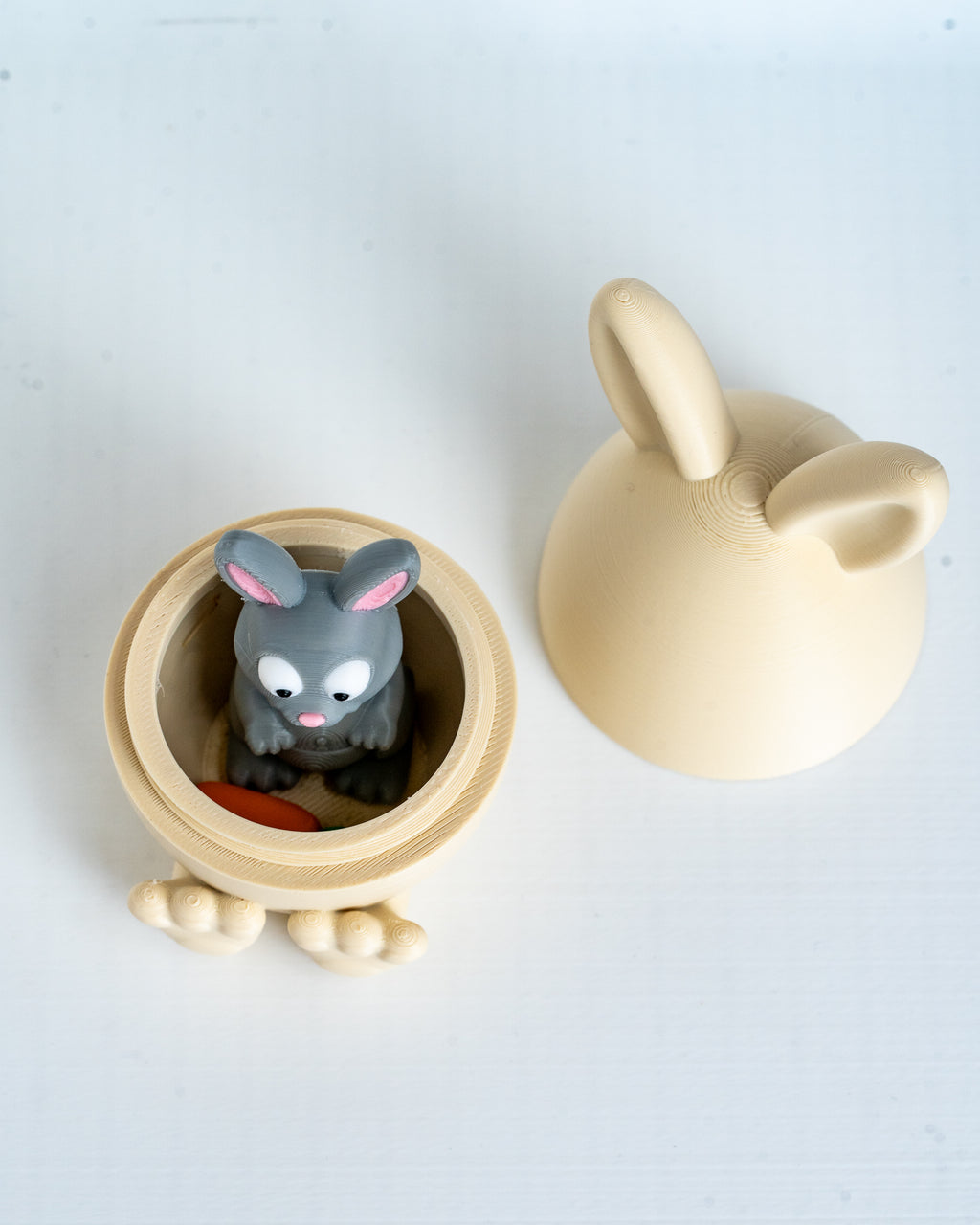 Top view of bunny egg container with mini rabbit inside