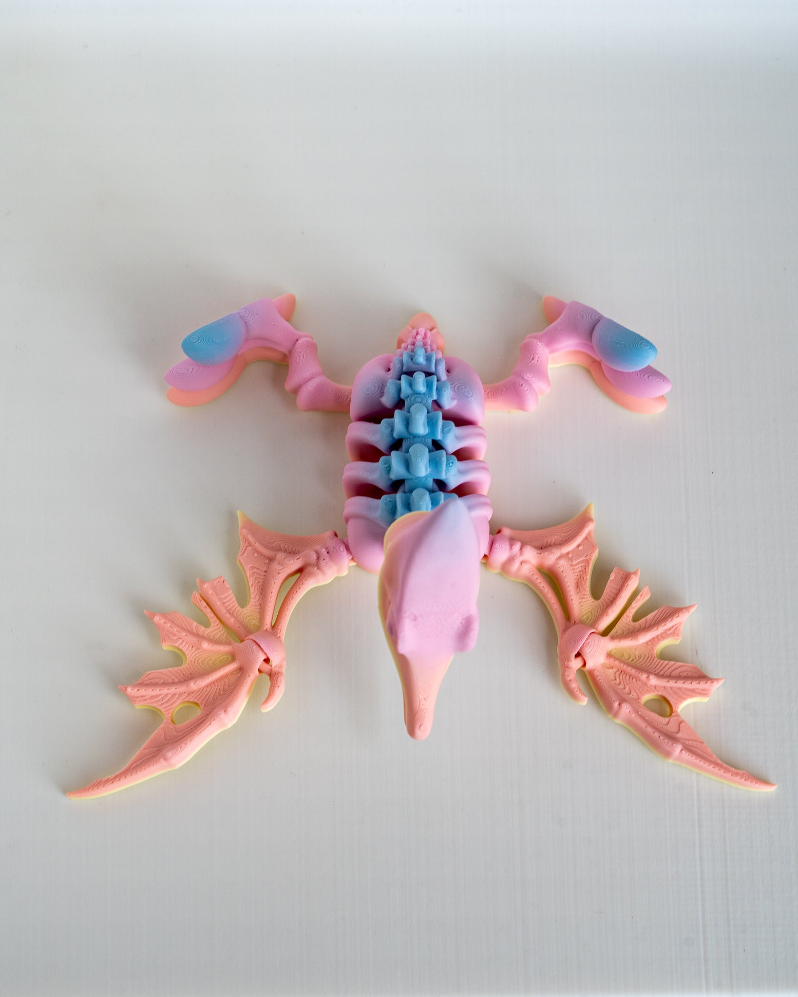 Top view of articulated pterodactyl skeleton