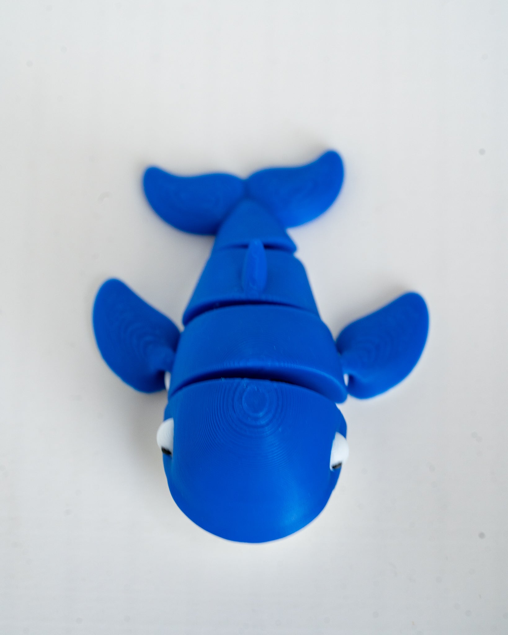 Top view of articulated whale figure