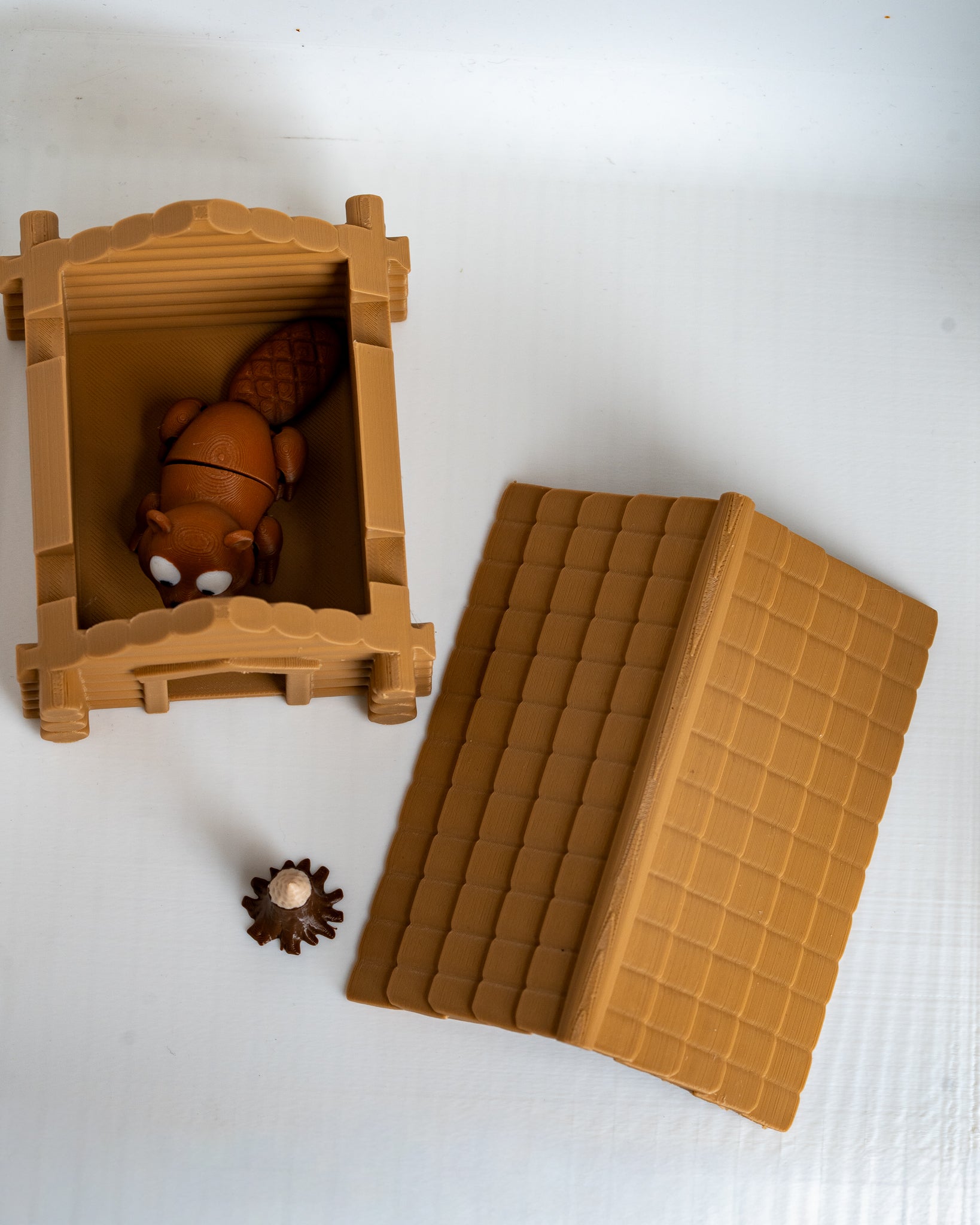 Beaver house container opened with beaver inside
