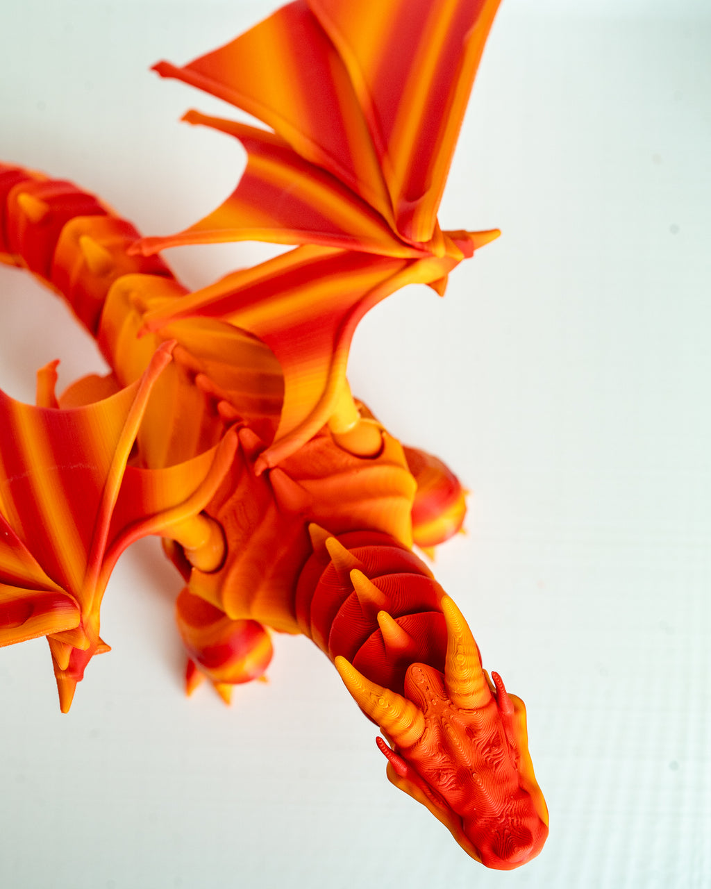 Winged dragon viewed from above