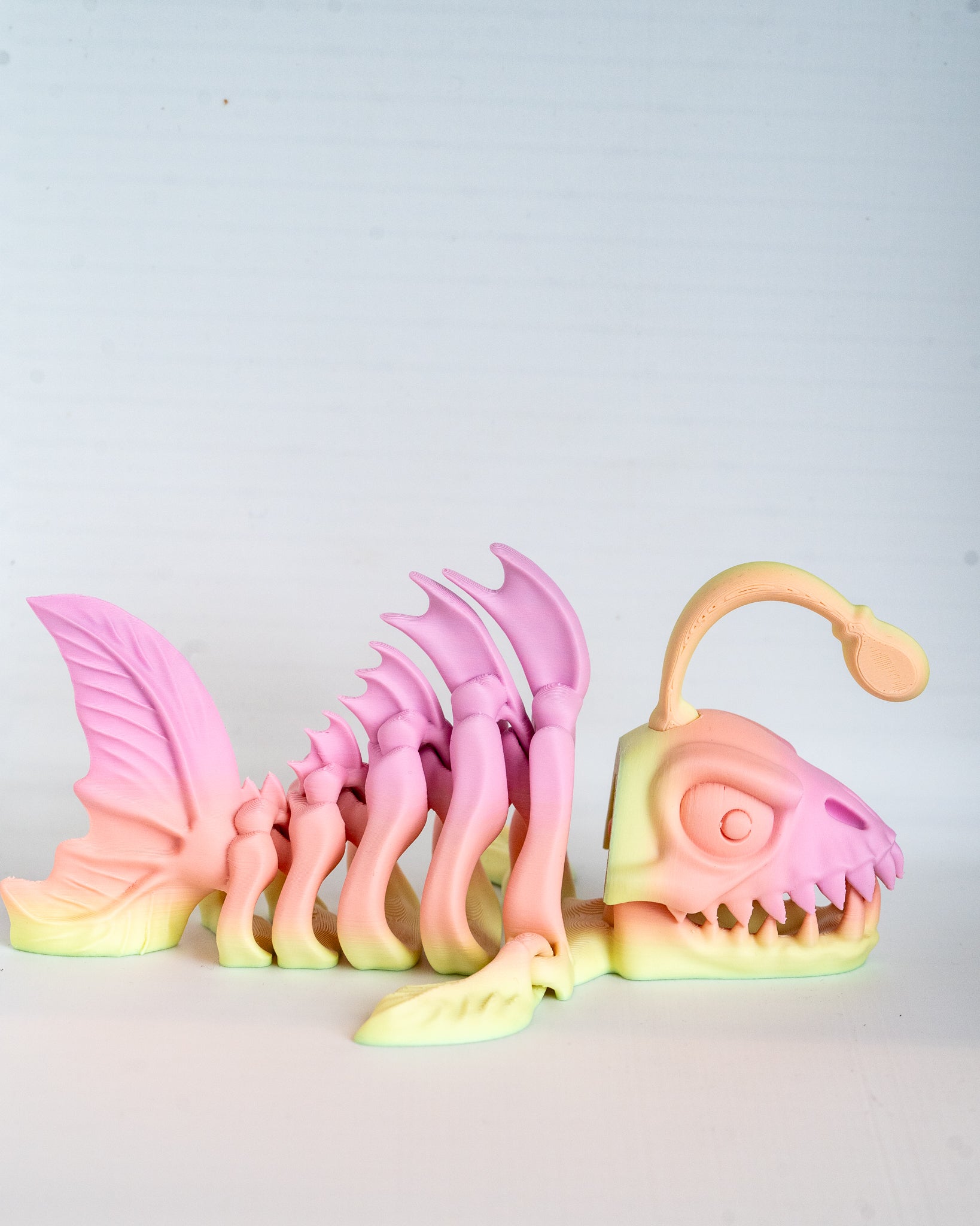 Articulated Anglerfish Skeleton 3D Printed Flexi Sea Creature