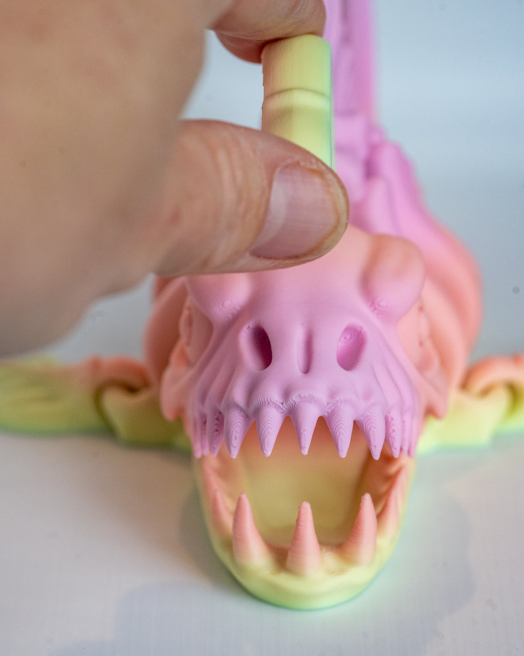 Articulated Anglerfish Skeleton 3D Printed Flexi Sea Creature