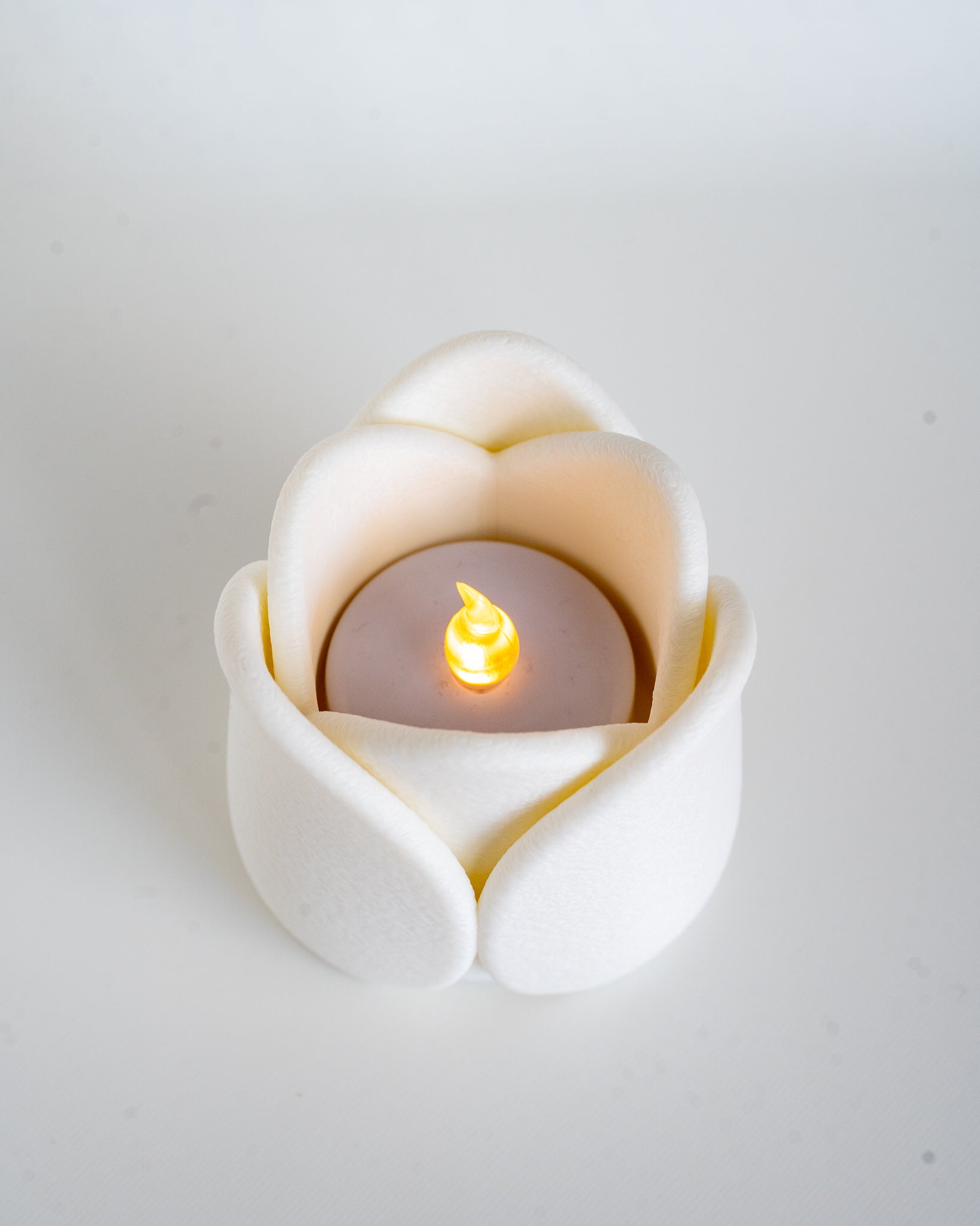 White tulip candle holder close up