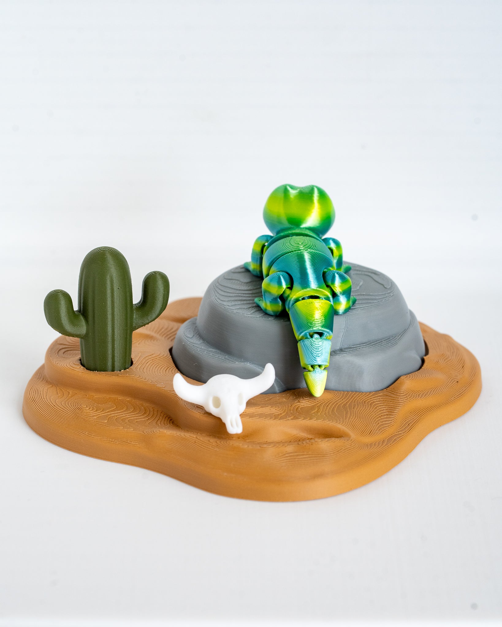 Desert themed lizard display