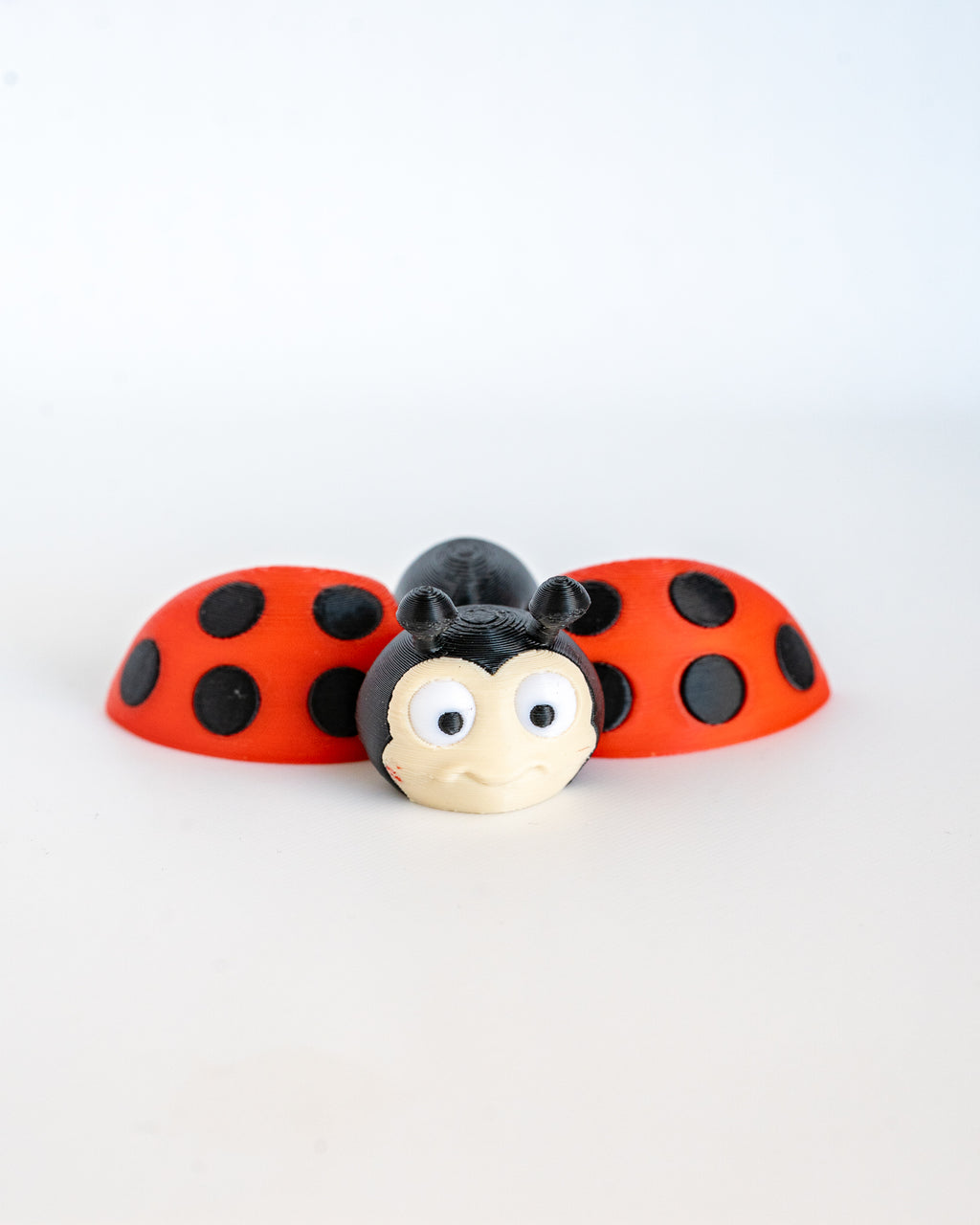 Front view of ladybug decorative figure