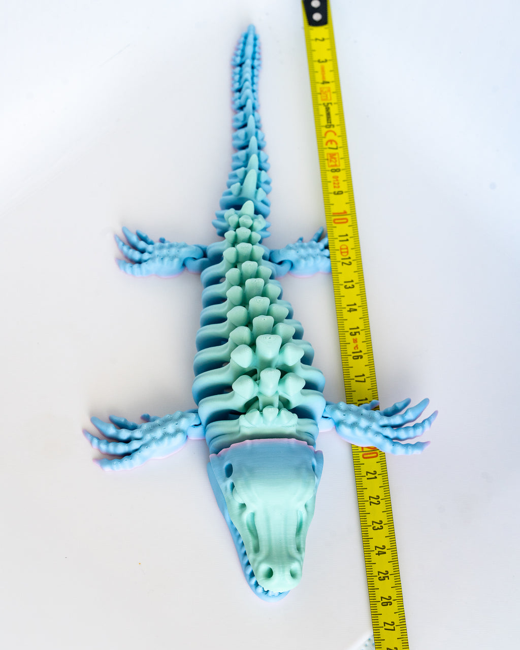 Mosasaurus skeleton next to measuring tape for scale