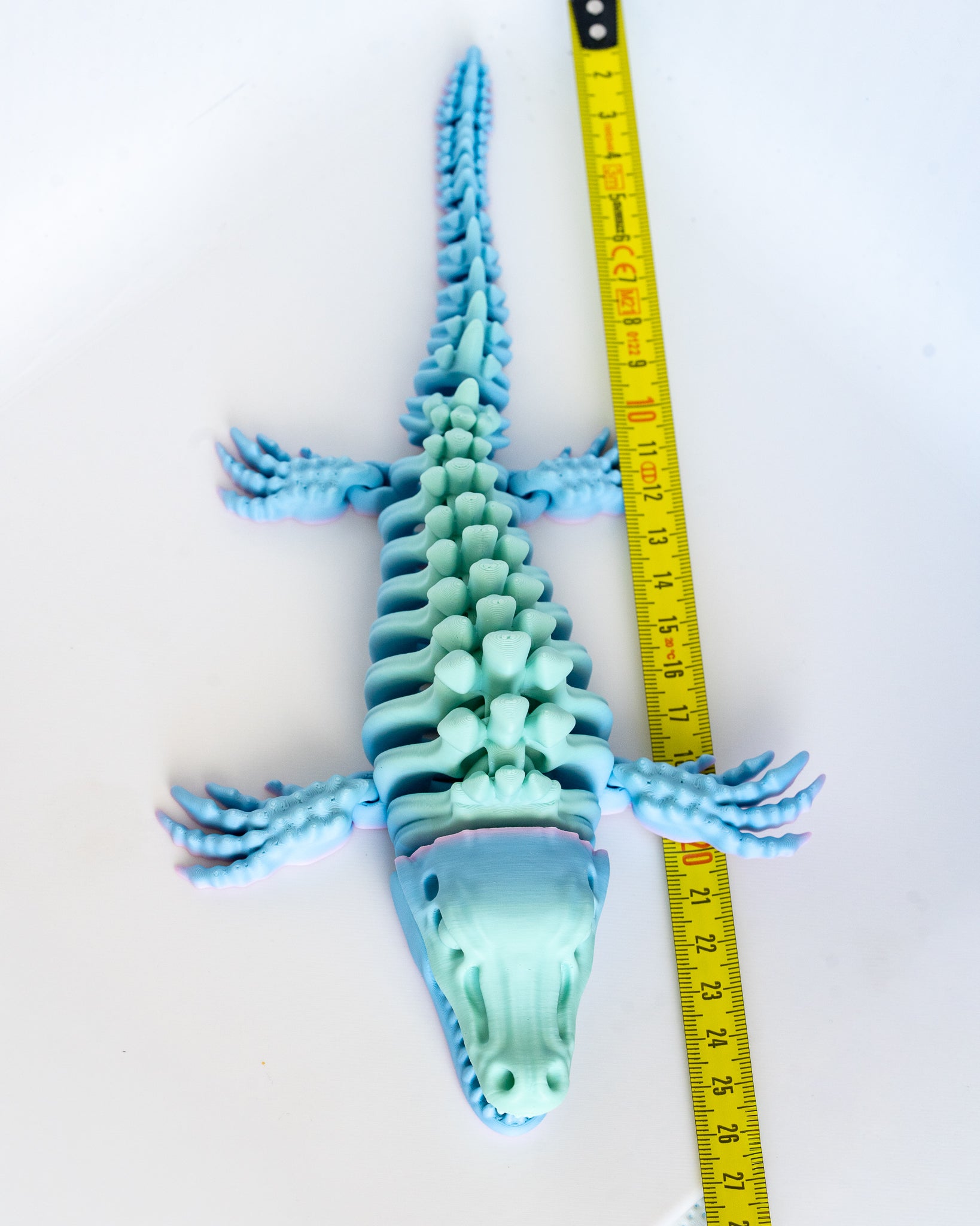 Mosasaurus skeleton next to measuring tape for scale