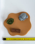 ock and plant on a wooden base against a white background next to measuring tape