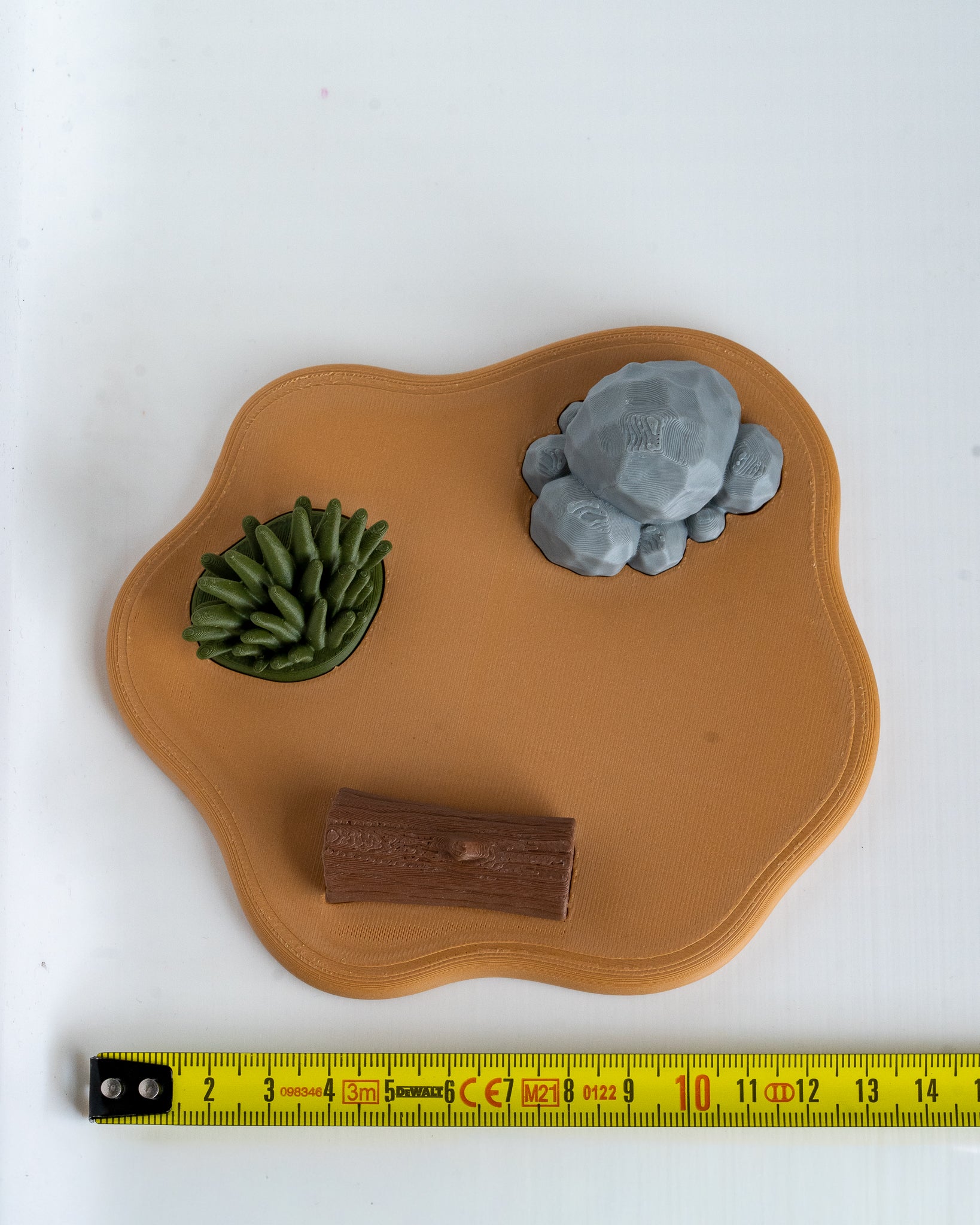 ock and plant on a wooden base against a white background next to measuring tape