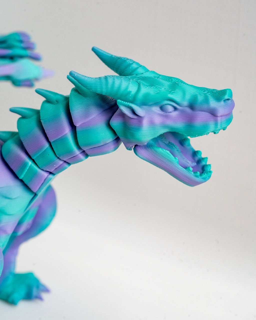 Dragon head close up