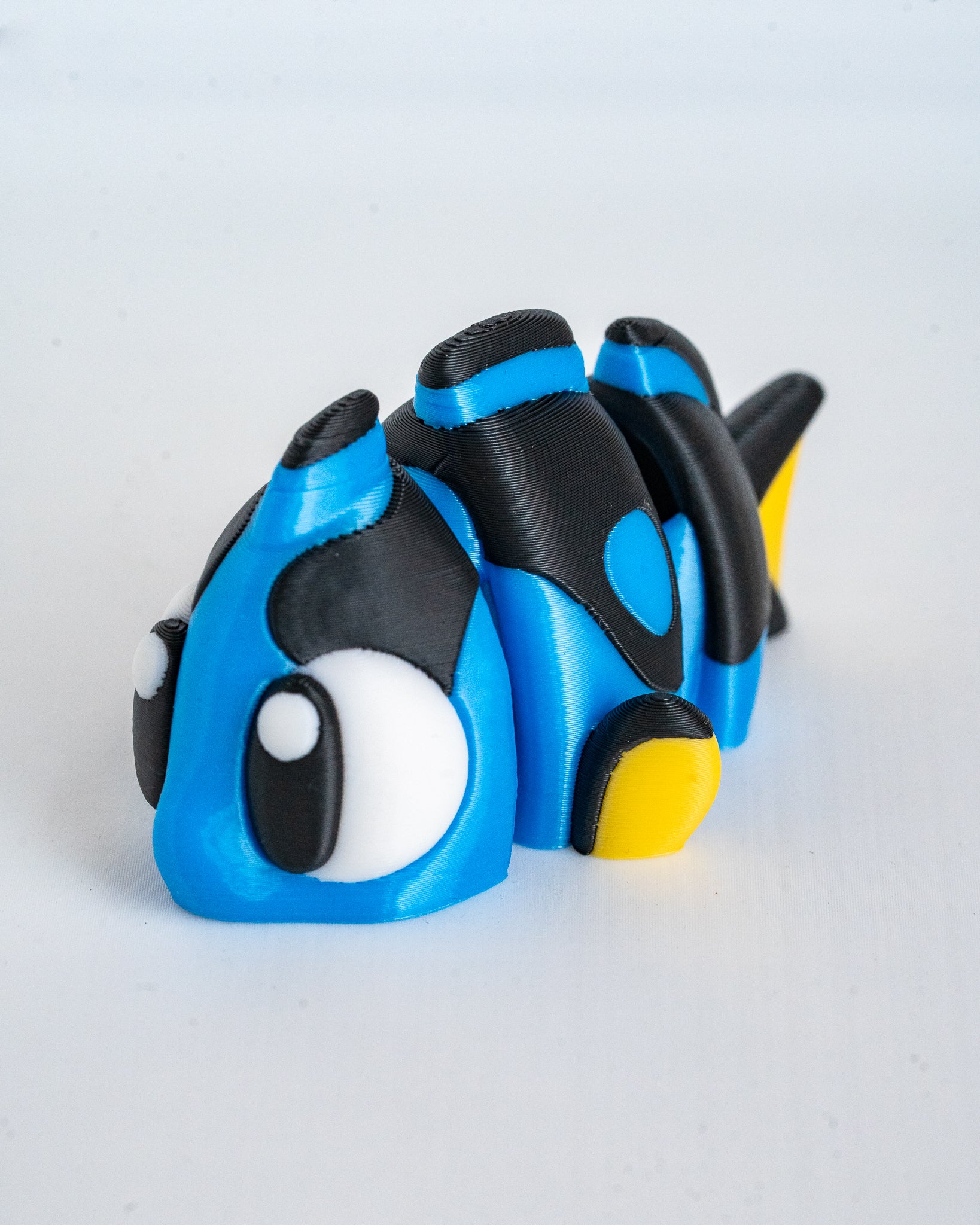Blue tang fish viewed from angle