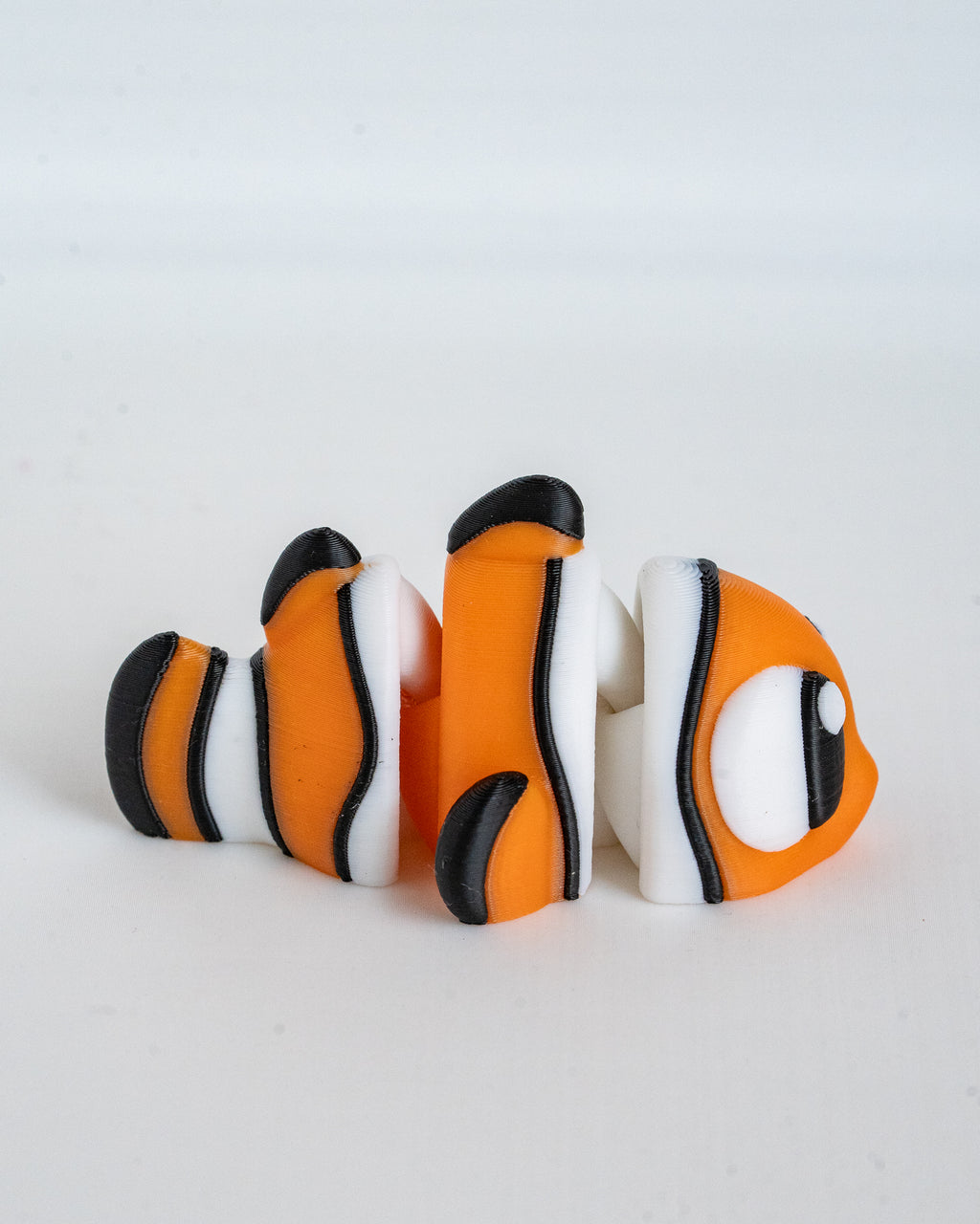 Clownfish viewed from side