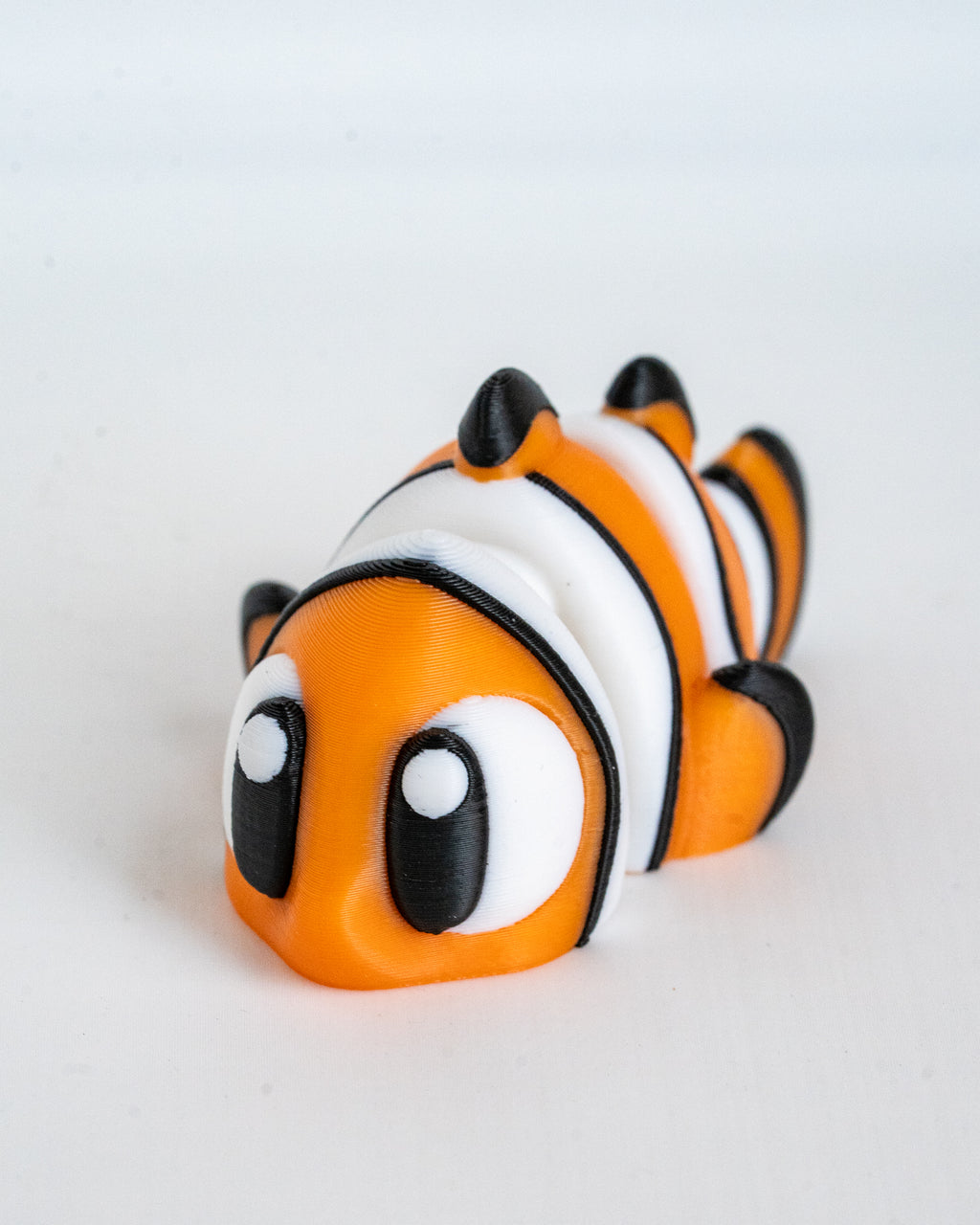 Clownfish viewed from angle