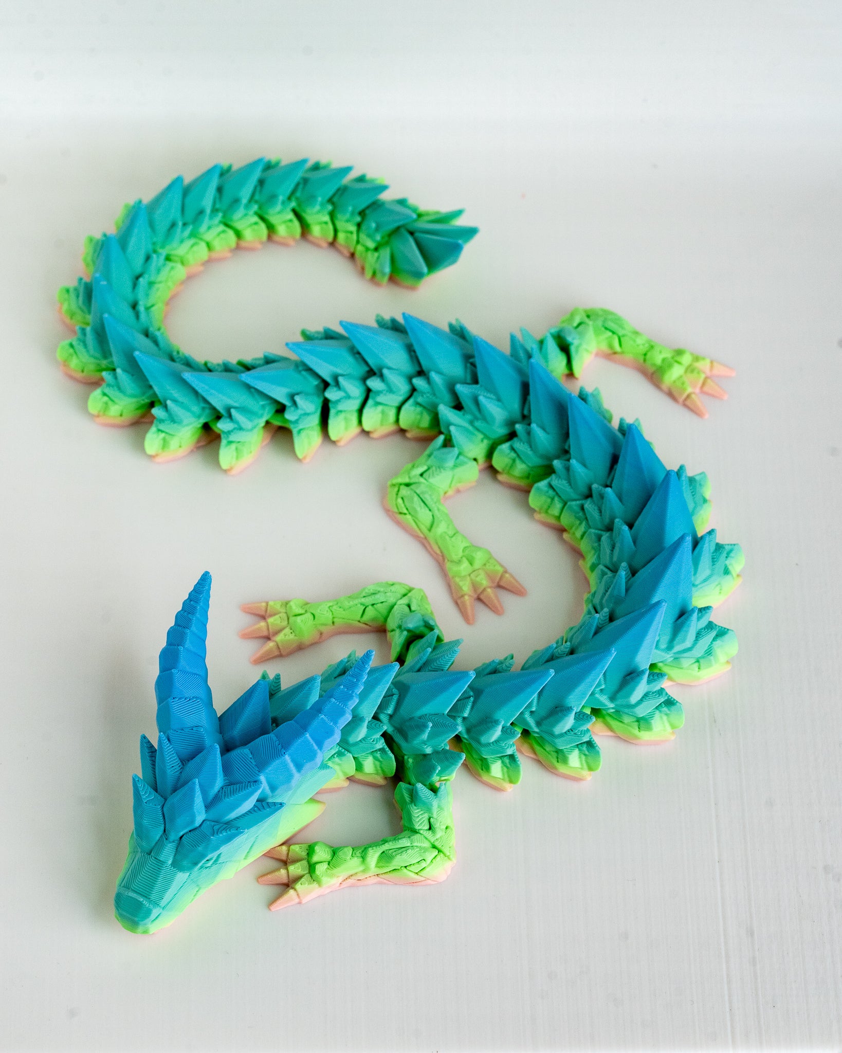 Colorful dragon on a white background