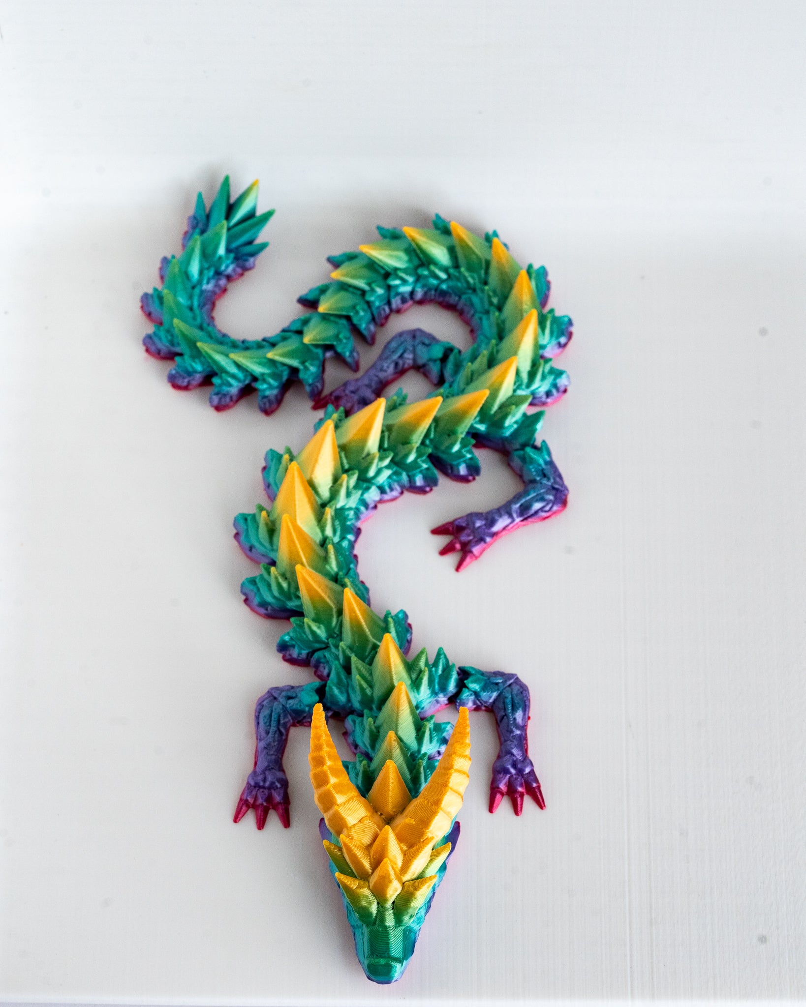 Rainbow Prismor dragon viewed from angle