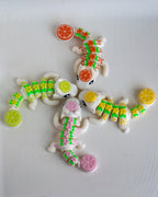 four small citrus dragon lime lemon grapefruit orange