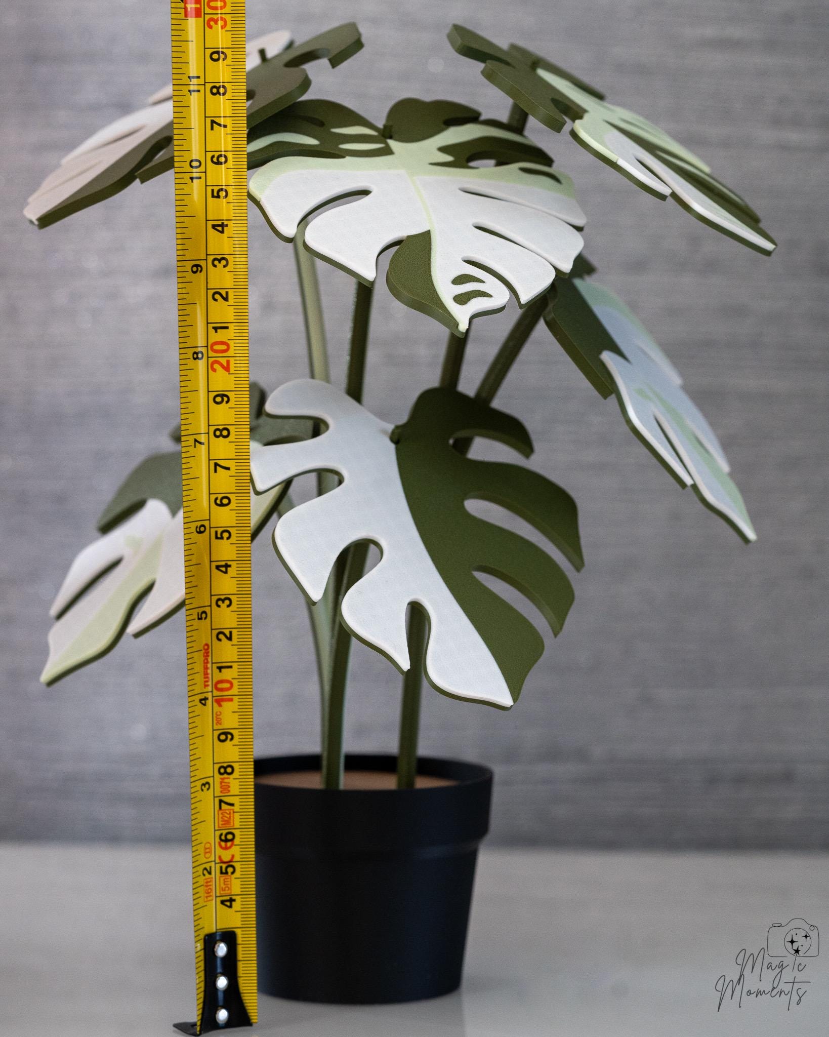 Monstera Coaster Plant - 3D Printed Leaf Coaster Set with Holder