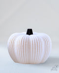 white fuzzy pumpkin 3d printed fall decor