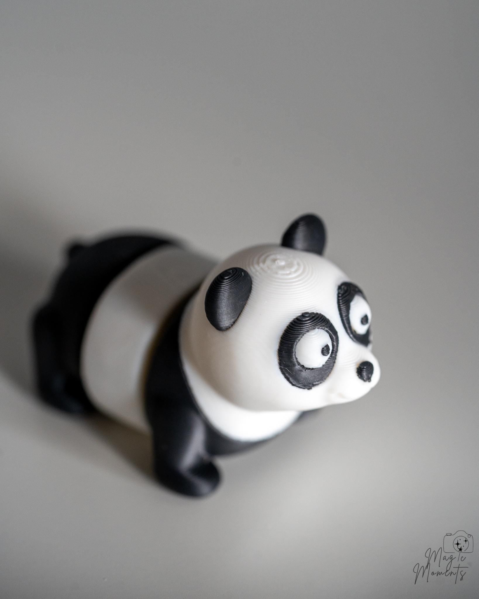 Cute panda animal figure in black and white colours