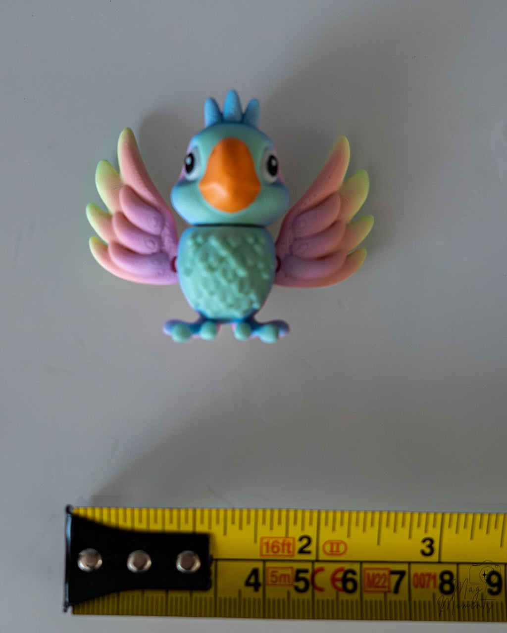 colorful bird next to measuring tape for scale