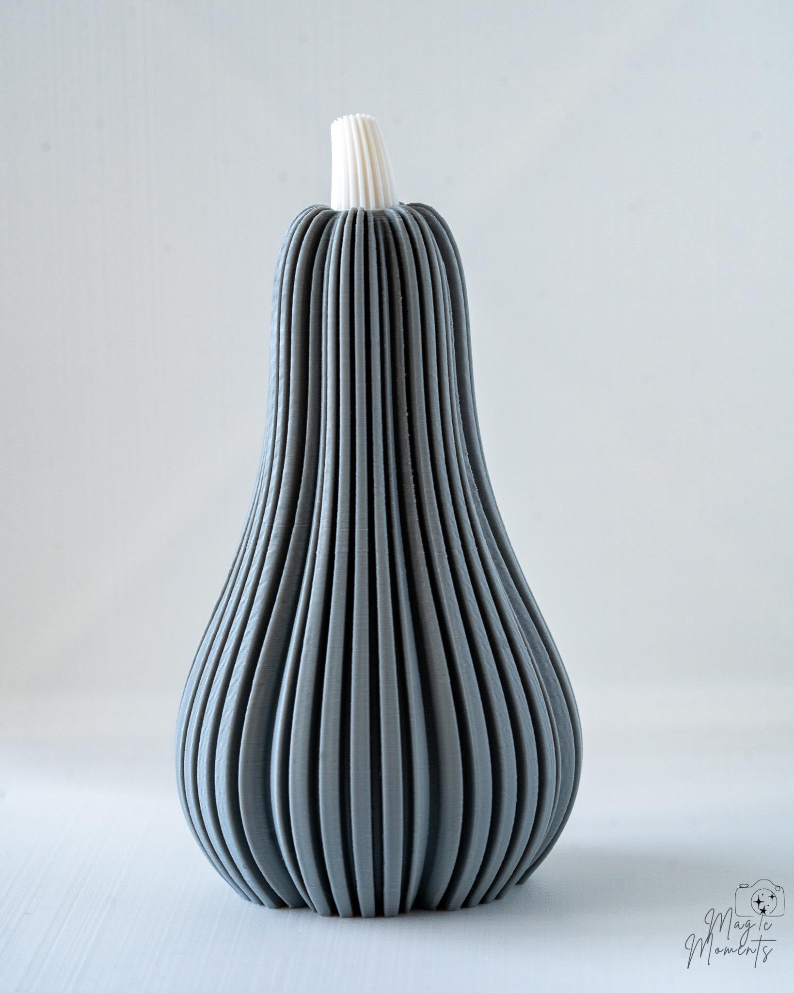 Gray ribbed butternut squash with white top on a light gray background