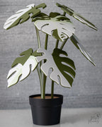 Monstera Coaster Plant - 3D Printed Leaf Coaster Set with Holder