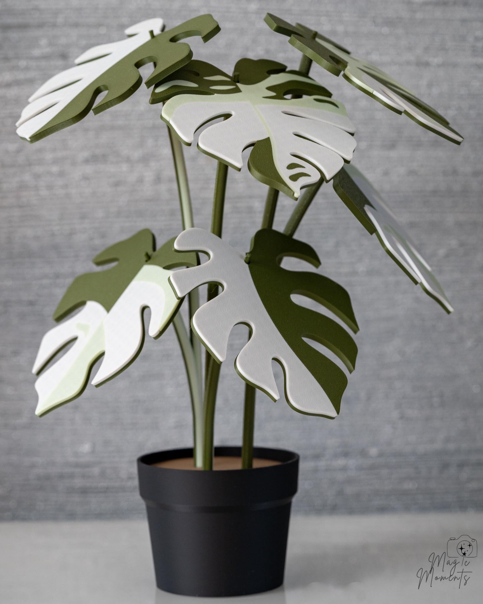 Monstera Coaster Plant - 3D Printed Leaf Coaster Set with Holder