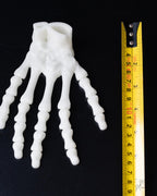 skeleton hand next to measuring tape for scale