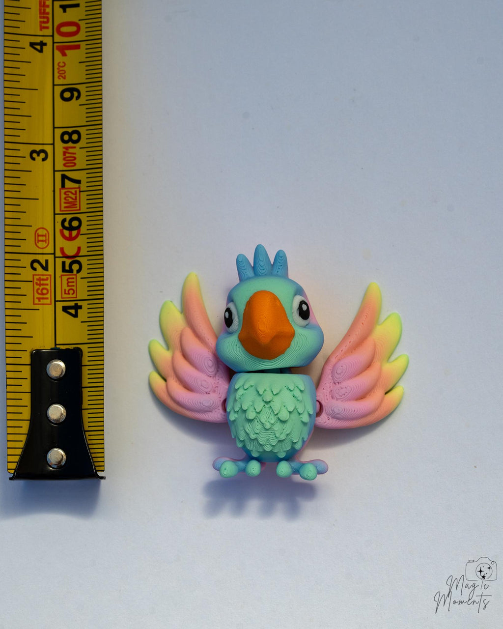 colorful bird next to measuring tape for scale