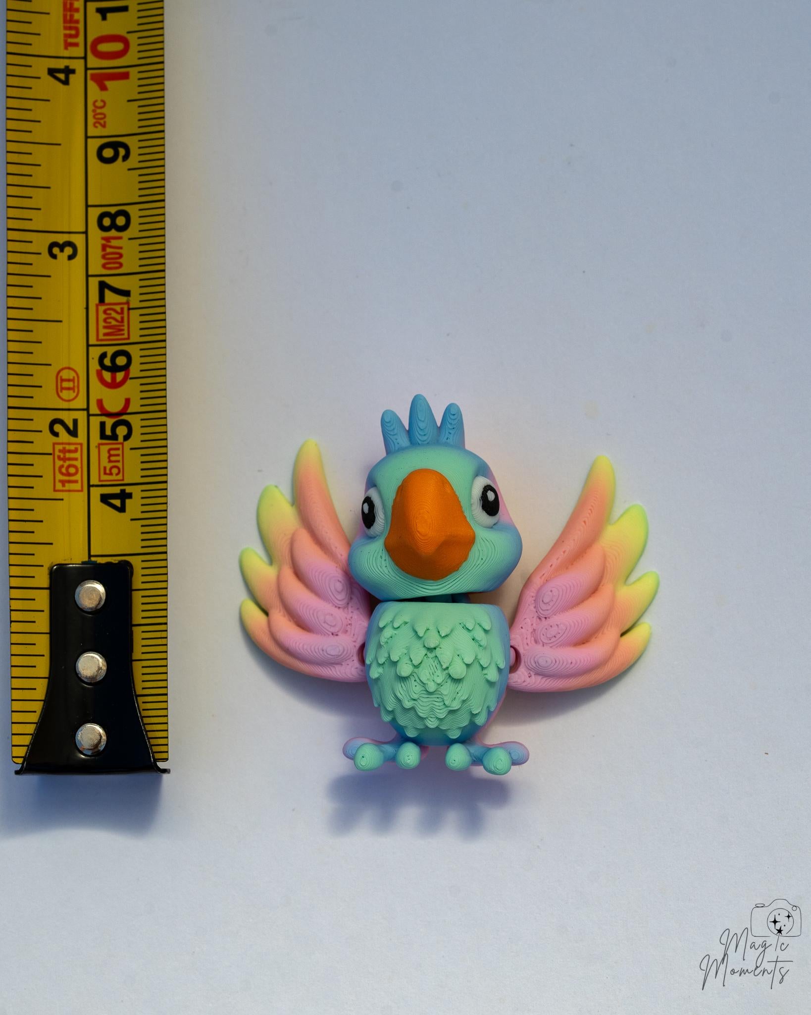 colorful bird next to measuring tape for scale